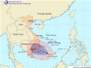 Bóng đá anh, ngoại hạng anh, lịch thi đấu euro 2012, Bão số 1 cách bờ biển Ninh Thuận-Bình Thuận 350km